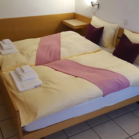 ホテル Loetschberg