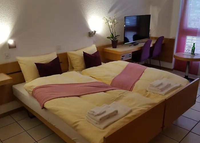 Hotel Loetschberg Spiez