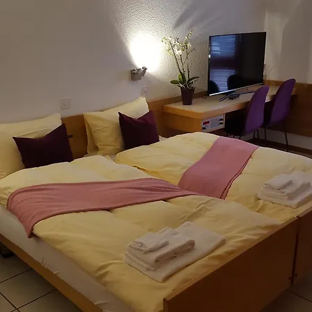 Szálloda Loetschberg Spiez